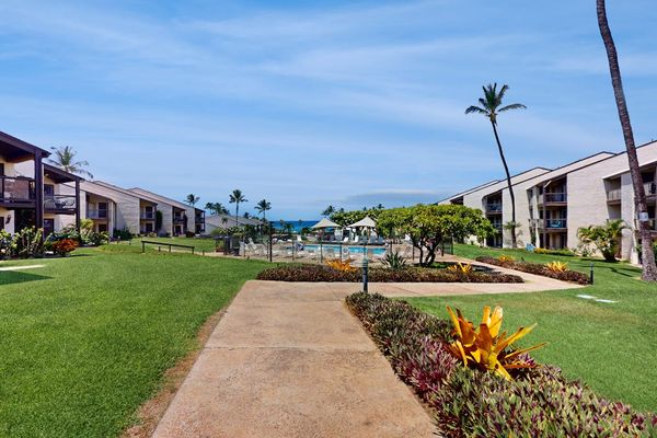 Scenic Walkway Through Tropical Grounds
