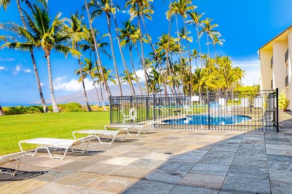 Resort Pool With Swaying Palm Views