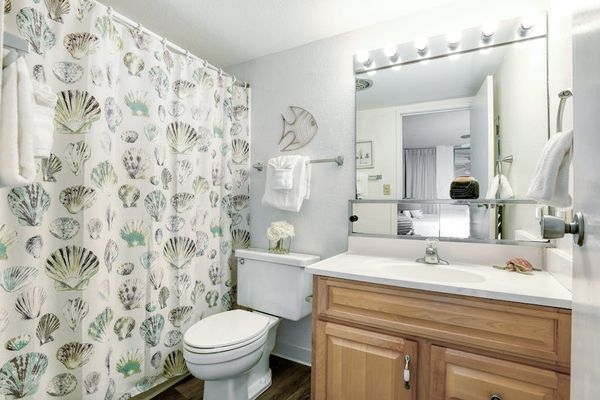 Master bathroom with tubs/shower combo.
