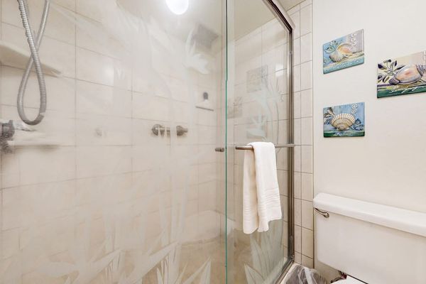 Walk-In Shower For A Spa-Like Refresh