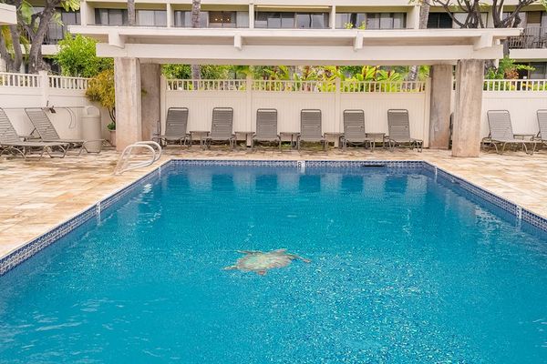 Resort Pool Perfect For Sunny Days