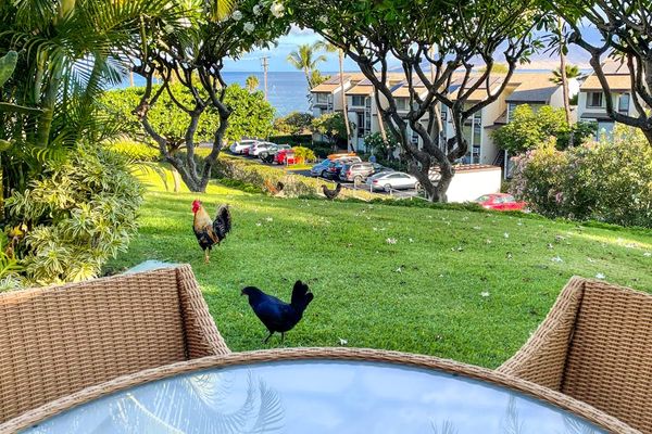 Outdoor dining area offers a refreshing setting for relaxed meals and conversation