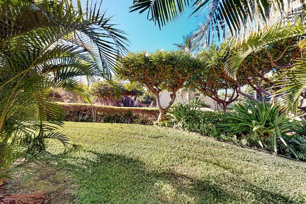 Lush Tropical Garden Escape