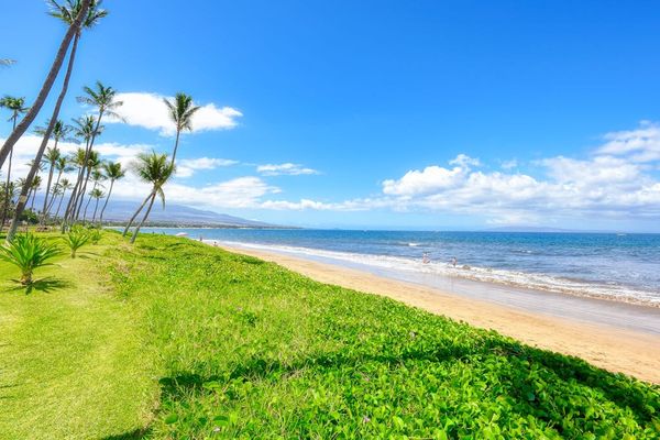 Golden Sands And Gentle Waves Just Steps Away