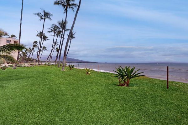 Expansive lawn overlooking the Pacific Ocean