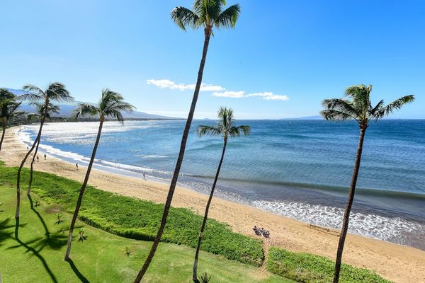 Ocean Breezes And Swaying Palms