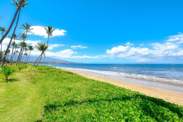 Step onto the soft sands of Sugar Beach, where miles of golden shoreline, gentle waves, and breathtaking ocean views create the perfect Maui beach experience.