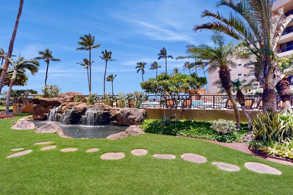 Tropical Courtyard Paradise