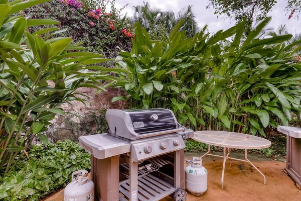 Sizzle up delicious meals on the BBQ grill