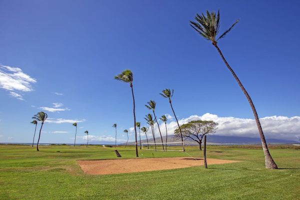 Play beach volleyball with breathtaking ocean views