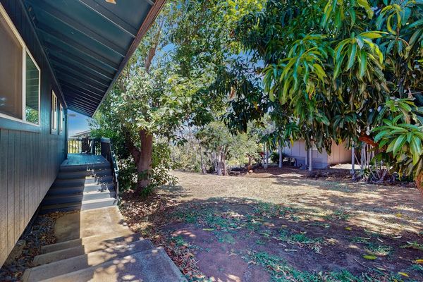 Private Yard With Tropical Greenery