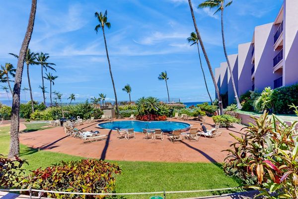 Resort Style Pool With Tropical Gardens