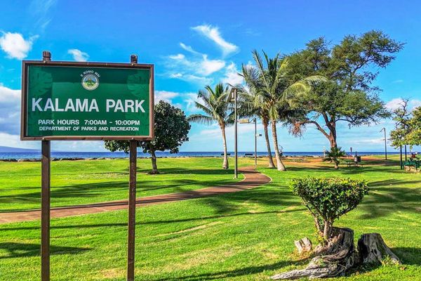 Kalama Park just minutes from the property