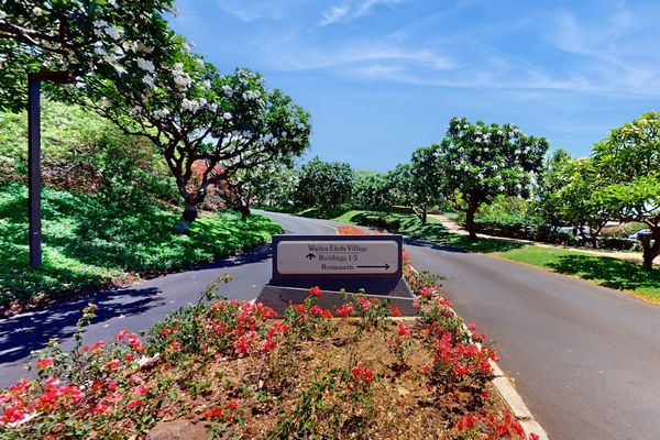 Paved Resort Driveway and Entrance Signage Framed by Flowering Trees