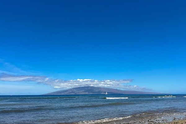 Discover Maui's rugged coastline.