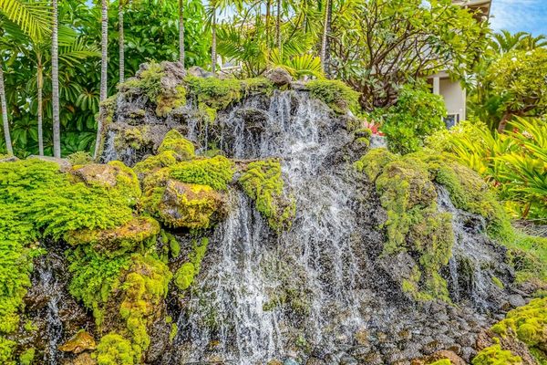 Cascading Rock Waterfall Feature surrounded by Lush Tropical Greenery