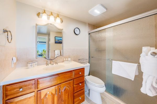 Primary bathroom with large tiled walk-in shower.