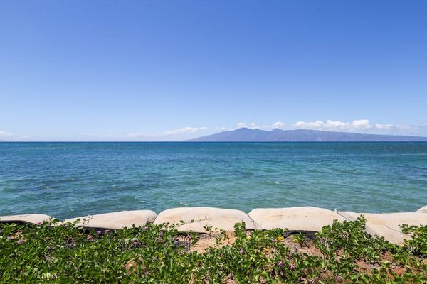 Endless Pacific Views From The Shoreline
