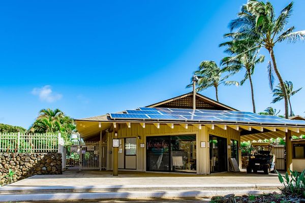 Come home to sunshine, comfort, and tropical charm