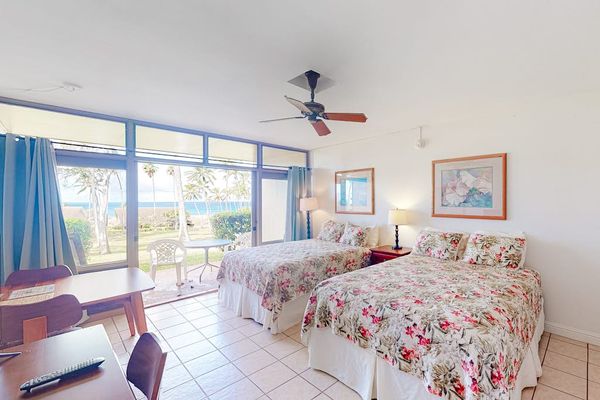 Open studio layout connects sleeping area with bright kitchen