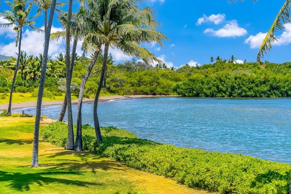 Scenic coastal panorama blends coconut trees vibrant landscapes and refreshing ocean breezes beautifully