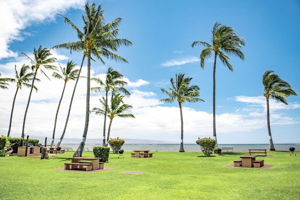 Inviting resort setting showcases beautiful island surroundings and comfortable guest spaces