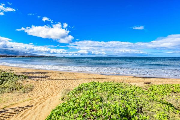 Pristine Beachfront Coastal Escape