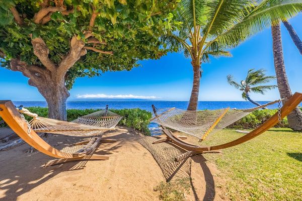 Hammock rests beneath palms overlooking the bright island shoreline nearby