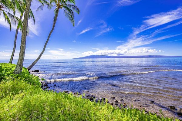 Coastal shoreline framed by palms, greenery, and brilliant blue skies