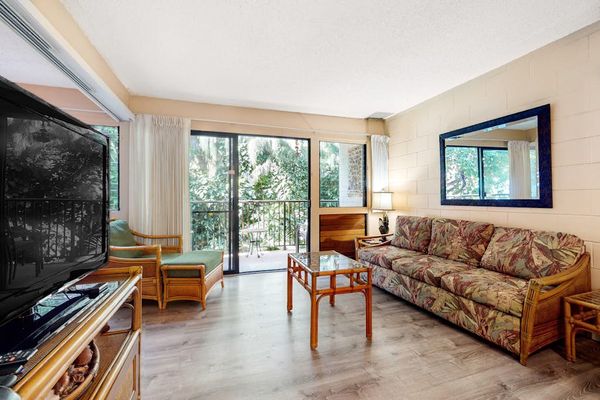 Open airy living room with flat screen tv and a pull out sofa for extra guests.