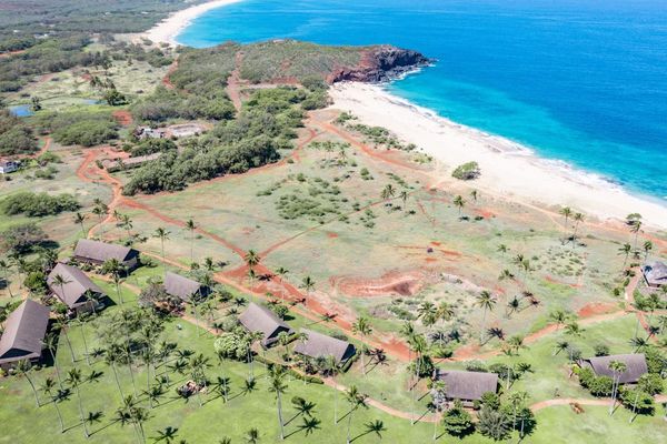 Aerial coastline view reveals beaches, paths, lawns, palms, and buildings