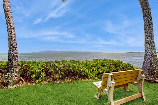 Lawn bench faces ocean views between palm trees and greenery