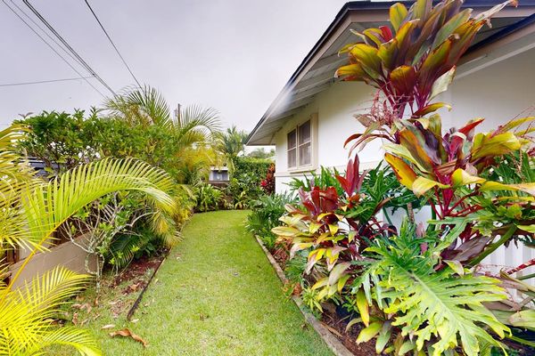 Green backyard offers a refreshing escape surrounded by beautiful tropical landscaping daily