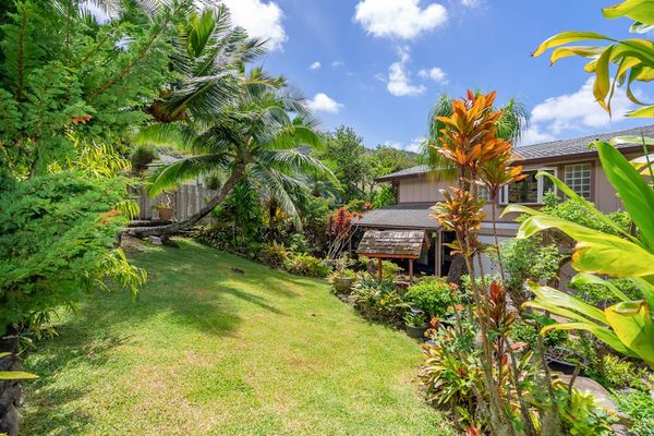 Backyard with lawn and surrounding tropical plants