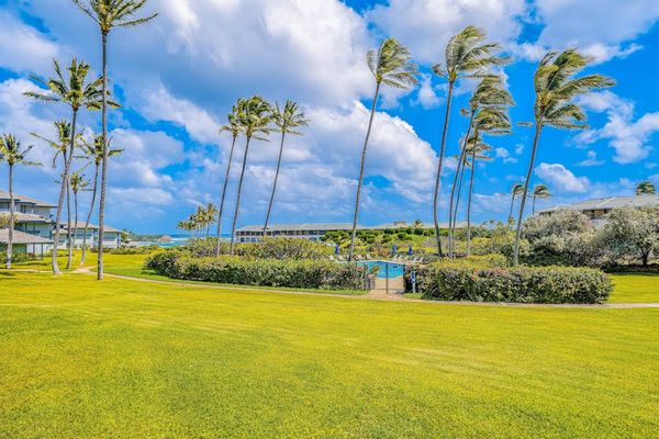 Palm Lined Island Oasis