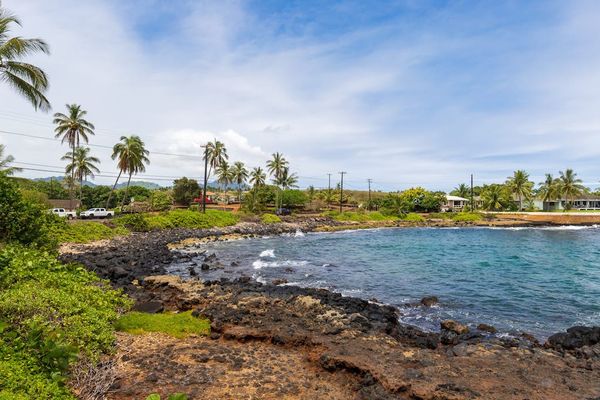 Coastal Lava Rock Shoreline with Palm Trees