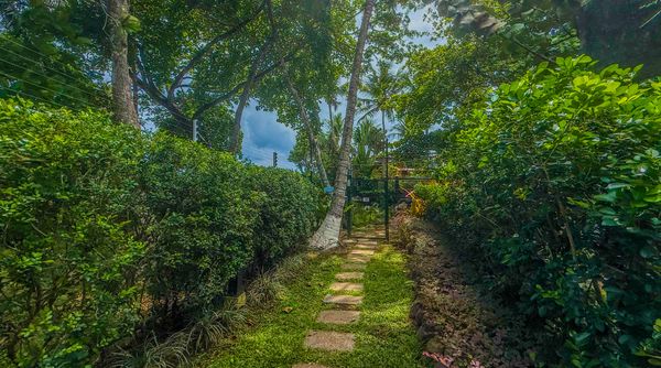 Path to the beach