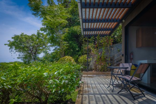 Private terrace pathway surrounded by lush tropical plants.
