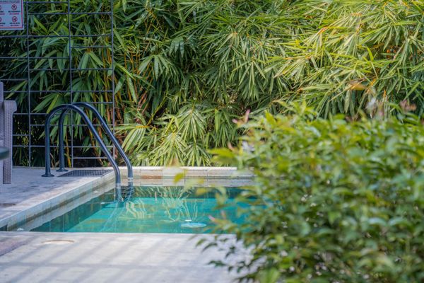 A refreshing pool retreat surrounded by lush greenery and privacy.