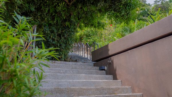 A private entry staircase leads you through lush greenery to your peaceful retreat.