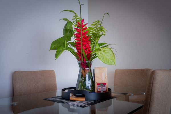 Fresh tropical flowers bring a warm Costa Rican welcome to the space.