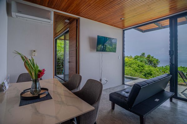 Bright living and dining area with TV, terrace access, and tropical views.