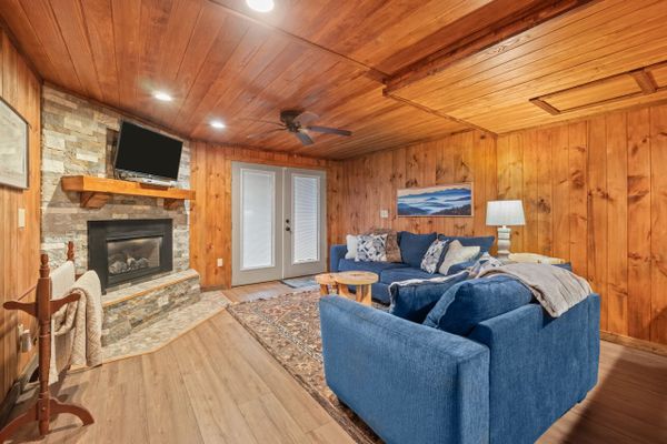 Downstairs living room / fireplace