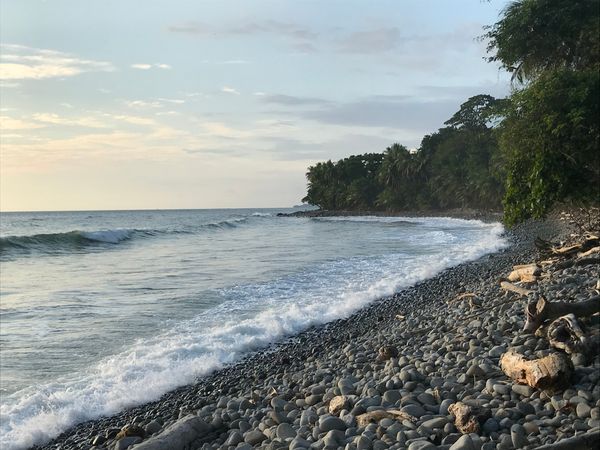 Marino Ballena National Park, Piñuelas Beach ( Entrance fee applies per person as is inside the National Park) Tickets can be purchased at the entrance of the beach ( Check National Park and  tie schedules before purchasing tickets)