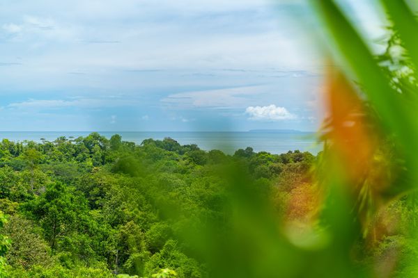 A magnificent view, perfect for gazing at the scenery and enjoying the moment.