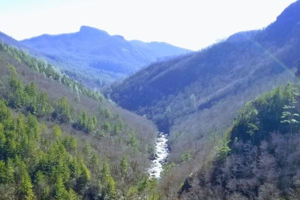 Linville Gorge from Babel Tower