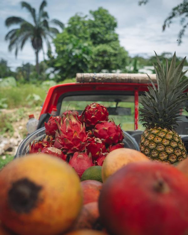 There are a great variety of fruits available in the nearby farmer markets and super-markets