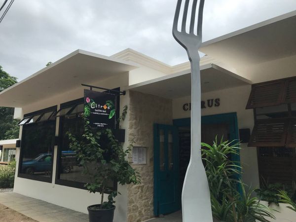 Restaurants in Ojochal are an easy 10-15 minute drive away.