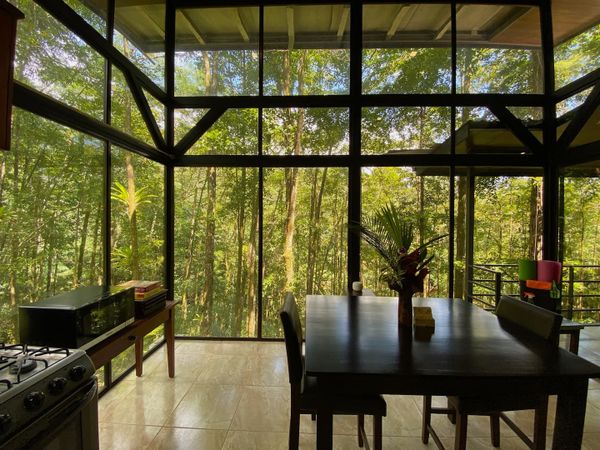spacious kitchen offering panoramic nature views.