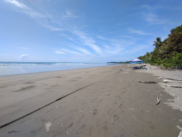 Walk to the beach!